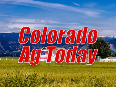 Colorado Hay Report