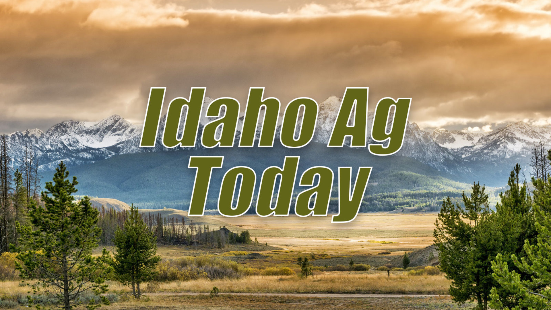 Idaho Ag Today