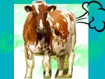 Cow Fart Myths Pt 2
