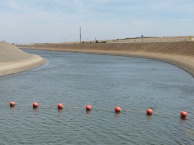 Westlands Water District Has Robust Water Transfer Programs for Growers