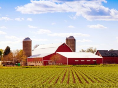 USDA Report Characterizes US Farms and Ranches