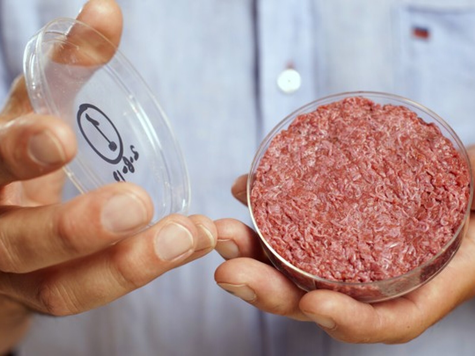 Florida Bans Lab-Grown Meat