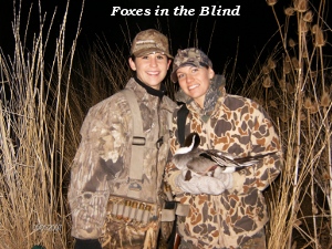 Foxes in the blind