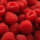 National-Processed-Raspberry-Council