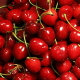 Cherry-Crop-Outlook
