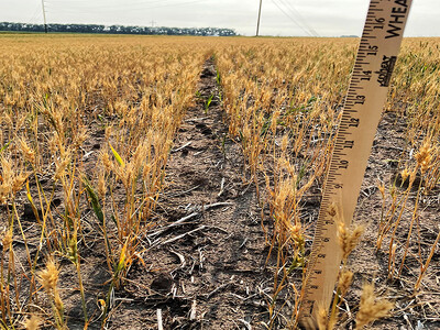 Crop Insurance Coverage Exceeds 500 Million Acres in 2023