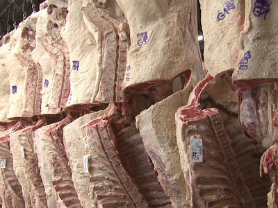 Working to Reduce Obstacles for Red Meat Exports to Canada