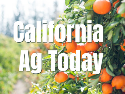 The State of California Agriculture