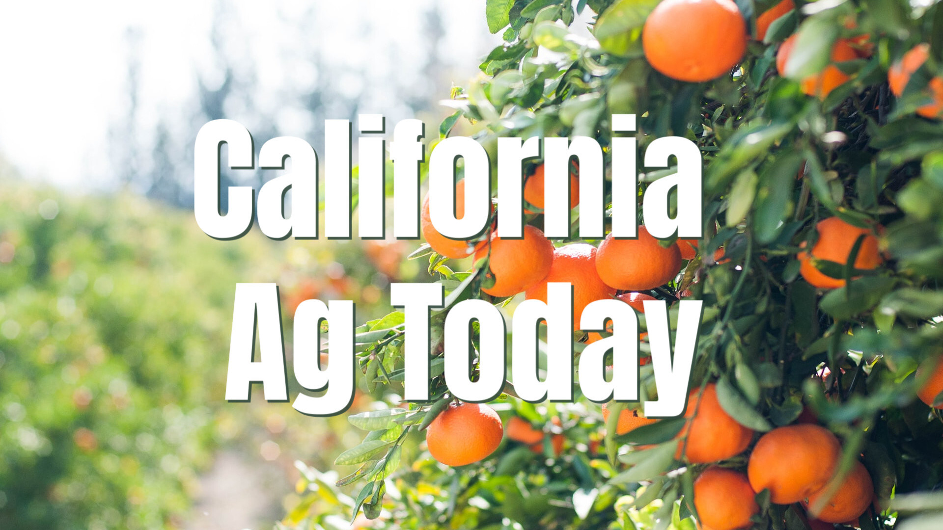 California Farms Weather Labor Fears